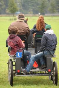 Om met paarden op een verantwoorde en veilige manier om te kunnen gaan moeten de natuurlijke eigenschappen en leefwijze goed begrepen worden.