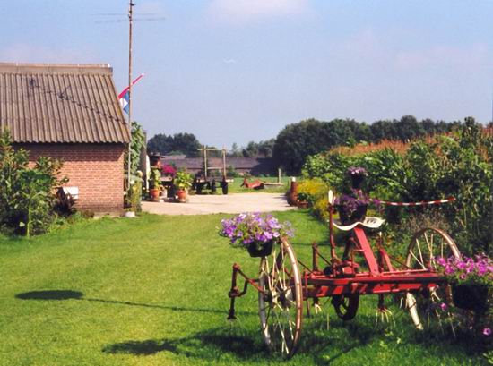 Onze minicamping is gelegen in een groene omgeving.