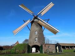 Een van de weinige malende molens van Limburg. Wekelijks malende molen. Er worden rondleidingen en er is eigen meel van de molen te koop.