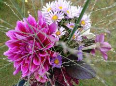 Op zondag 15 september van 12-16 uur is er in de Naturentuin een Nazomer-tuinmiddag.