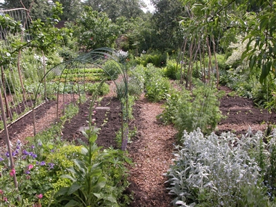 Naturentuin Goirle Cursussen Ecologisch tuinieren