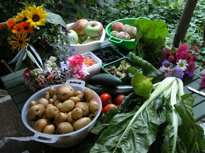 Naturentuin Goirle Cursussen Ecologisch tuinieren