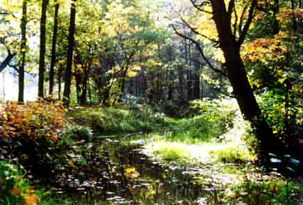 Natuurgebied Baest Wandeling in de Baest