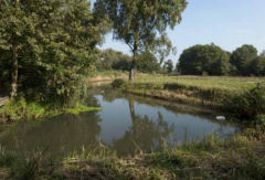 Natuurgebied Baest Wandeling in de Baest