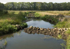 Natuurgebied Beekdal van de Beerze Beekdal van de Beerze