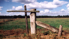 Natuurgebied De Mortelen De Mortelen