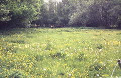 Natuurgebied De Mortelen De Mortelen