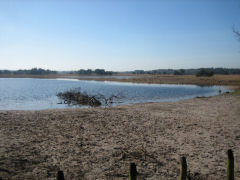 Aangrenzend aan de Landschotse Heide ligt de Kuikeindse Heide, wat een naaldhoutgebied is