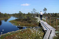 Natuurgebied Landschotse Heide Landschotse Heide