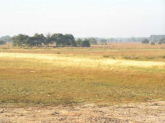 Natuurgebied Landschotse Heide Landschotse Heide