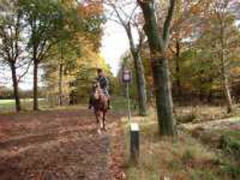 Natuurgebied Oirschotse heide Oirschotse Heide