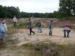 Natuurgebied Oirschotse heide