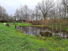 Natuurtuin de 7e hemel Overnachten in de natuurtuin