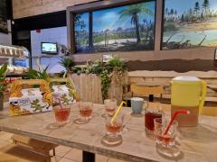 Vier je kinderfeestje in Het Oertijdmuseum!