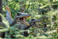 Oertijdmuseum Boxtel Het Oertijdmuseum