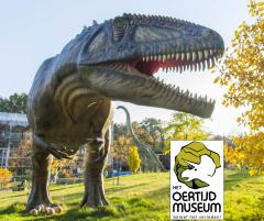 Oertijdmuseum Boxtel Het Oertijdmuseum