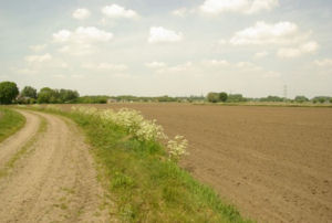 Ons Boerderijke Boerderij bezoek