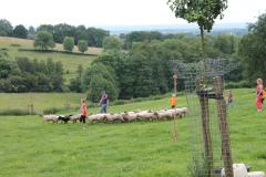 U gaat samen met de herder en zijn honden schapendrijven in verschillende spelonderdelen. Liefst in 2 groepen die met elkaar in competitie gaan. 