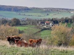 Paradijsvogels Groepsaccommodatie-berghut Hoeve ten Bosch 