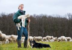 Jaarlijks organiseren wij de Lammetjesdag in Ysselsteyn, een leuk gezinsuitje voor jong en oud.