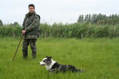 Schaapskooi Schijndel Demonstraties schapen drijven