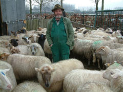 Schaapskooi Schijndel Wandelen met de herder