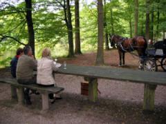 Smalltown Horse Stables Workshop Kennismaken met de mensport