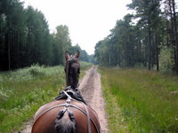 Smalltown Horse Stables