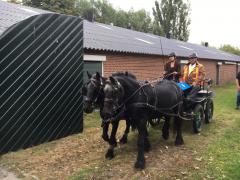 Smalltown Horse Stables Mensport Clinic