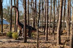 Speelgoedmuseum Spelebos Dino Adventure