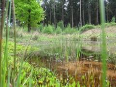 Sport- en spelboerderij Leekzicht GPS wandelspeurtocht