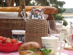 Steenhof Stables Picknick-MEN-tocht 