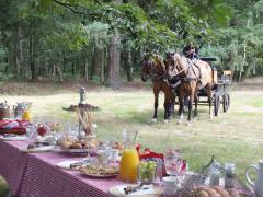 Steenhof Stables Picknick-MEN-tocht 