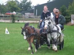 Zelf paarden mennen in een spannende strijd tussen uw collega's, familie of vrienden, waarbij u zelf de leidsels in eigen hand neemt.