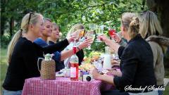 Steenhof Stables Picknick-MEN-tocht 