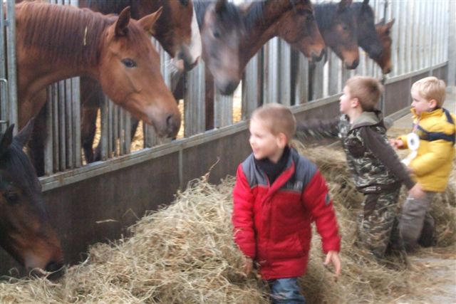 Steenhof Stables Kinderfeestje