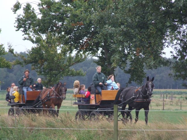 Steenhof Stables Kinderfeestje