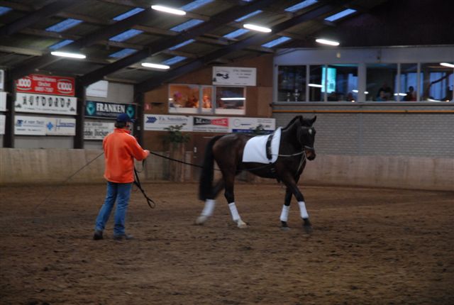 Steenhof Stables Menclinic