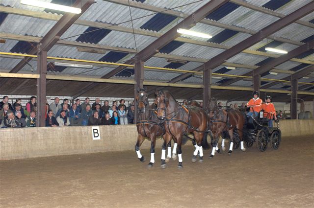 Steenhof Stables Menclinic