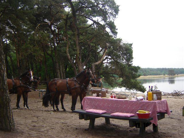 Steenhof Stables Vierspan-men-arrangement