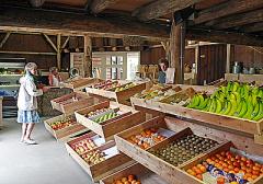 Boerderijwinkel met ekotuin.