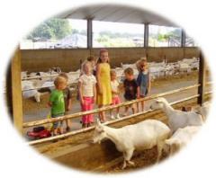 \'t Geitenboerke Kinderfeestjes