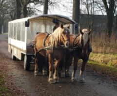 Geniet van al het mooie wat de natuur u te bieden heeft tijdens een huifkartocht in Noord-Limburg.