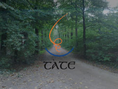 Tate