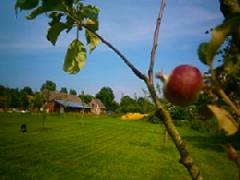 Theaterboerderij Op 't Hogt Mini Camping