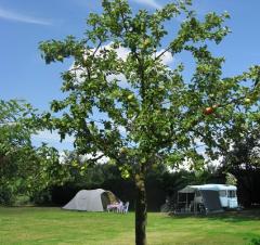 Vakantieverblijf De Rozenhorst Sfeervolle en luxe vakantiehuizen