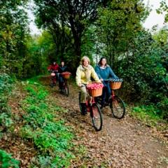 Al jaren wordt gerestaureerd aan de unieke vestingwallen van 's-Hertogenbosch. Reden om een aantal zeer bijzondere fietstochten uit te zetten.