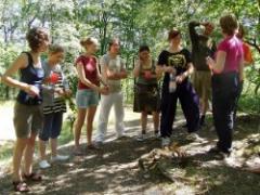 Wandeloogst Een bijzonder uurtje wandelen