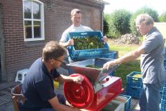 U kunt op de boerderij van Winery & Herbs zelf zien hoe je wijn maakt. En er zelf ter plekke aan meewerken.