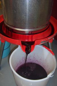 Winery & Herbs Lezing Wijn maken en rondleiding wijnmakerij